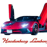 ハルデンベルク ランボルギーニ (@hardenberglambo) 's Twitter Profile Photo ハルデンベルク ランボルギーニ (@hardenberglambo) 's Twitter Profile Photo