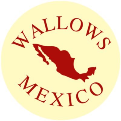 Somos el club de fans oficial de Wallows en México. Respaldado por @warnermusicmex