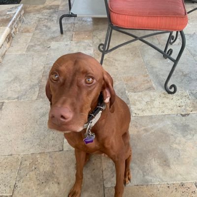 Kibble10Kibble's profile picture. 