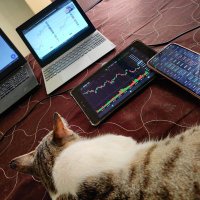 Rock@on Trading (@atulkarande10) 's Twitter Profile