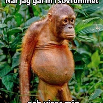 När jag var liten fanns ingen mobilkamera. Om man var kär i en tjej fick man snällt rita av sin kuk och faxa den till hennes pappas jobb.