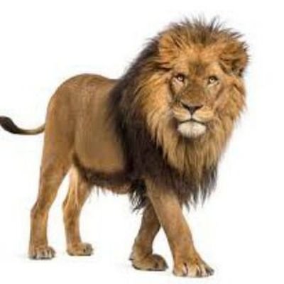 MustaphaLahaiK4's profile picture. Indispensable