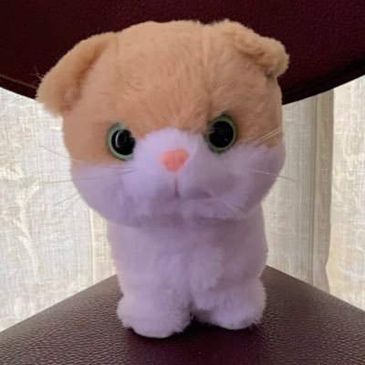 Kazushi Yamada🦊さんのプロフィール画像