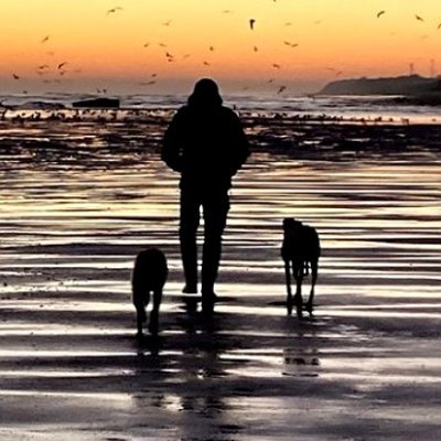 Just a normal guy,(Boothferry boy west Hull) whom loves nature and photography, stay safe, stay humble. now living in Withernsea