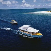 Surfing in Maldives - Liveaboard Surfing Maldives(@horizonsurfmv) 's Twitter Profile Photo