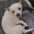 EfLatuNnet's profile image