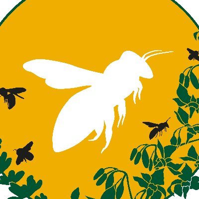 Helfe den Bienen, heile die Landschaft. #bienenschutz #bienen #hymenoptera #tierschutz #landschaftsschutz #landschaftspflege