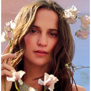 One of the oldest and largest fansites dedicated to the Oscar winning actress Alicia Vikander, providing you with photos, news & media.