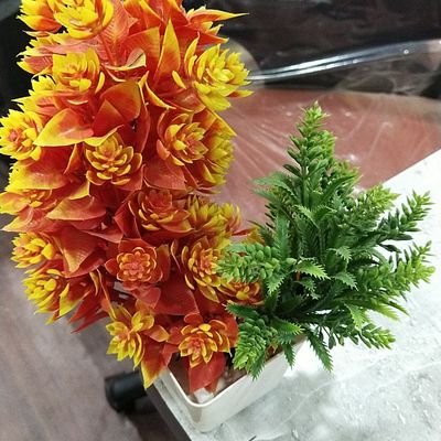 kanishkasr77831's profile picture. 