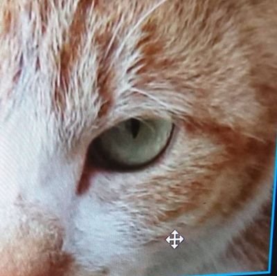 三芳PAのなう、オススメを、ゆる~くオバチャンがつぶやきます📡フォローいいね大歓迎👍たくさんの人と繋がりたい👫👬👭👫👬👭