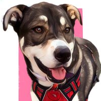 truthistough (@ffcy2023) 's Twitter Profile