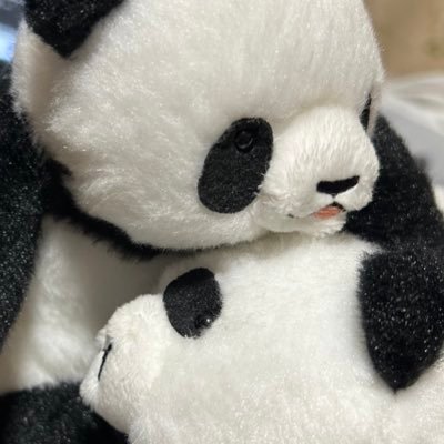 ずみちゃんさんのプロフィール画像