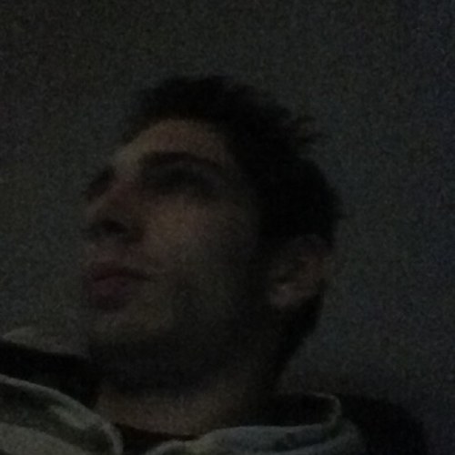 alessandroamodi's profile picture. 