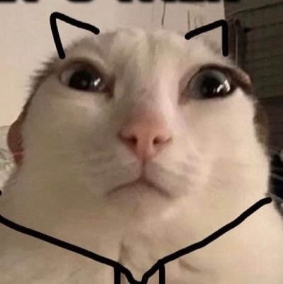 strngr0fZewor1d's profile picture. 