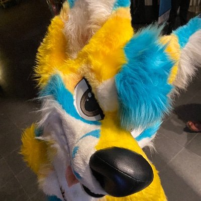 Nirdianさんのプロフィール画像