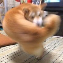 tou_ken2's profile picture. 2023/4 TOU編入（情報マネジメント学部）/２４歳/社会人