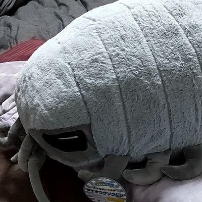 あやつきまる（モミ岡さん）さんのプロフィール画像
