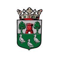 gemeente Halderberge (@halderberge) 's Twitter Profile