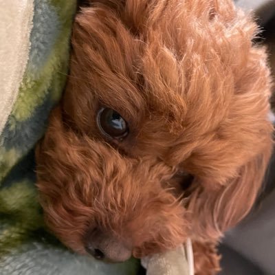 yusami_kei8's profile picture. 