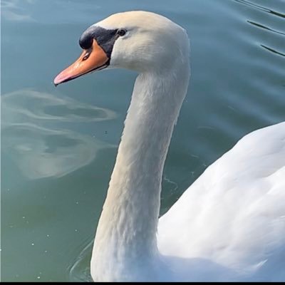 yoshidakou83515's profile picture. OPU1年 情報システム工学科 opu coder/バドミントン 誰でも絡んできてくれい