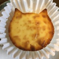 とっとこ (@kai39san) 's Twitter Profile