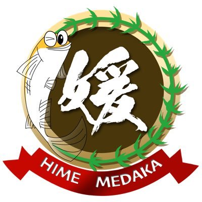 hime_medaka_ Profile Picture