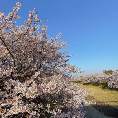 双極性障害、蒼空だったり彩乃だったりした人。