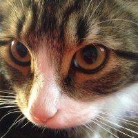 Fran Minky (@franminky93738) 's Twitter Profile