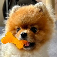 m (@mok_oh) 's Twitter Profile