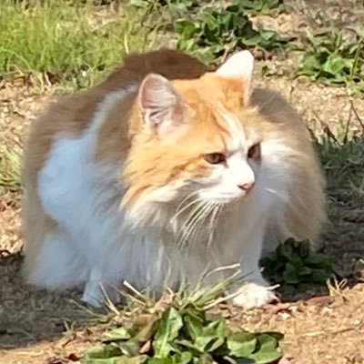 abcos134094's profile picture. 