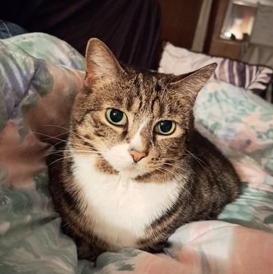 biskitty4's profile picture. escapril diary, poetry account, she/they