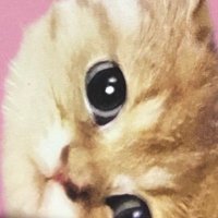 感謝 (@ser_qc) 's Twitter Profile