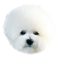 ☁️せとくん☁️ (@seto_1022) 's Twitter Profile Photo