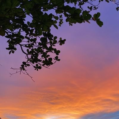 steve_hq11's profile picture. Gud