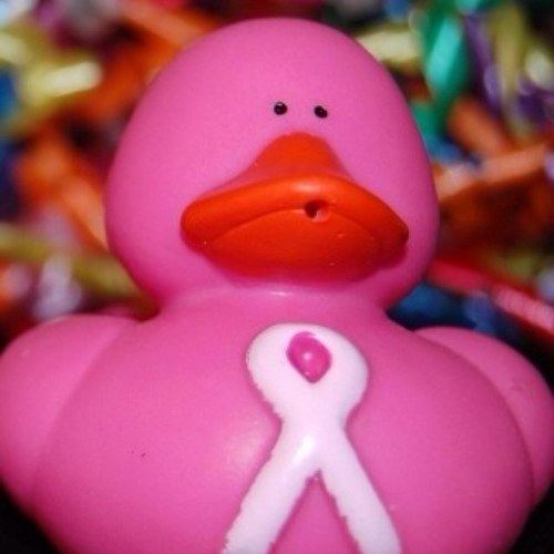 stlgirl73's profile picture. 