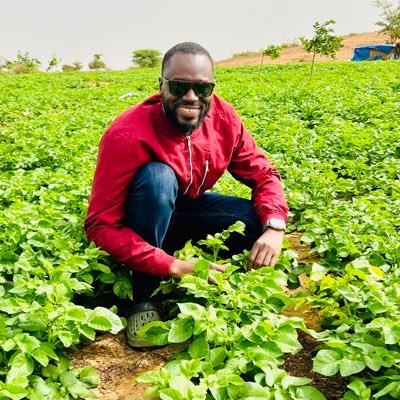 ctkane's profile picture. Strategy & Program Delivery | Project Management | IT & Health Informatics | Farmer-Entrepreneur | Certified Scrum - Former @IntraHealth - Co founder @jokkolabs