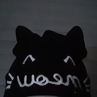 Hanse's cat beanie loves you(@HanseCatBeanie) 's Twitter Profile Photo