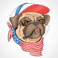 pug | dog | ❤️ | 🇱🇷(@pug_dog_usa) 's Twitter Profileg