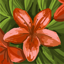 iris ohara - @OharaIris14568 - Twitter