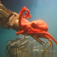 Extracting the Ocean (@extractingocean) 's Twitter Profile