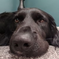 Ackey (@ackeygraham) 's Twitter Profile