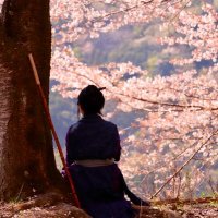 こはる (@khaoru42) 's Twitter Profile Photo