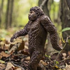 A Hexican Bigfoot! Sasquatch is not an Ape.
I like Crypto and enjoy working out.
#HexFishingClub