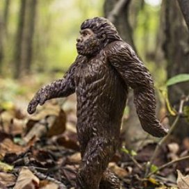 _CryptoBigfoot