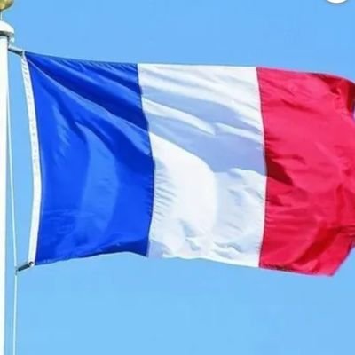 Compte professionnel des représentantes de la France lors du trilogue sur la réforme de la directive européenne sur la qualité de l'air