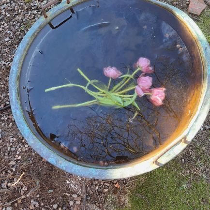 susanneilund's profile picture. Smålänning men
skåning i hjärtat!