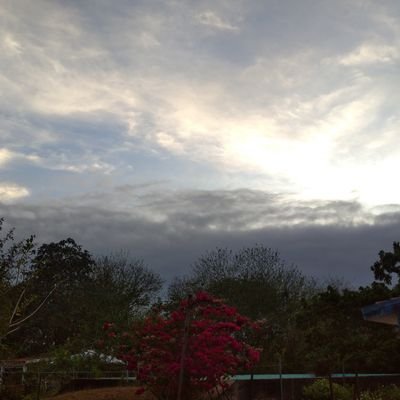 marisab40780500's profile picture. Mañana será mejor que hoy