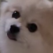 RgP_TargetVN's profile picture.