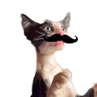 Chickenwing (@antichickenwing) 's Twitter Profile Photo