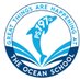 The Ocean School (@ps197q27) Twitter profile photo The Ocean School (@ps197q27) Twitter profile photo